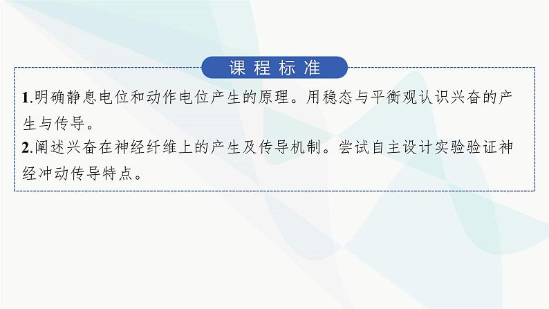 人教A版高中生物选择性必修1稳态与调节第2章神经调节第3节第1课时兴奋在神经纤维上的传导课件02