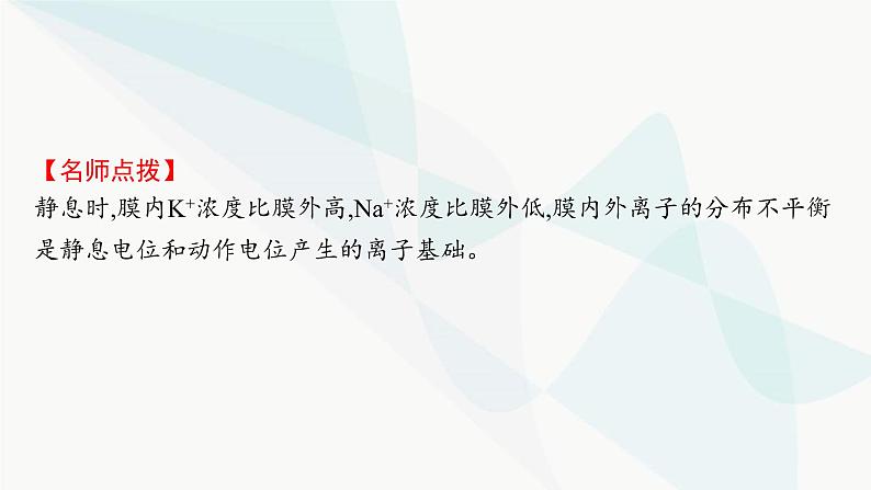 人教A版高中生物选择性必修1稳态与调节第2章神经调节第3节第1课时兴奋在神经纤维上的传导课件08