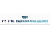 人教A版高中生物选择性必修1稳态与调节第4章免疫调节第2节第2课时细胞免疫及体液免疫和细胞免疫的协调配合课件