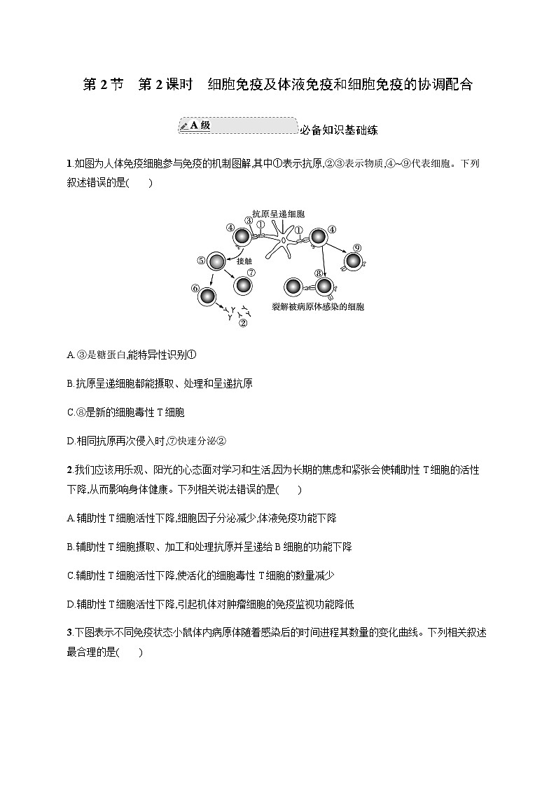 人教A版高中生物选择性必修1稳态与调节第4章免疫调节第2节第2课时细胞免疫及体液免疫和细胞免疫的协调配合练习含答案01