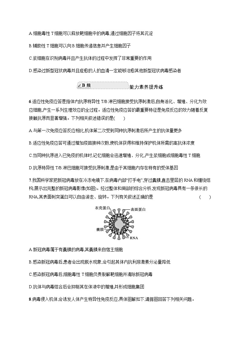 人教A版高中生物选择性必修1稳态与调节第4章免疫调节第2节第2课时细胞免疫及体液免疫和细胞免疫的协调配合练习含答案03