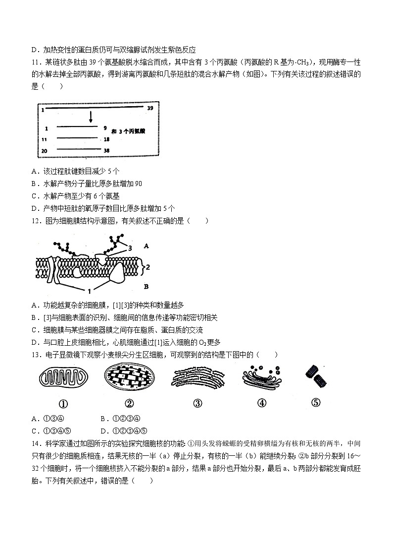 安徽师范大学附中2022-2023学年高一上学期期末教学质量诊断测试生物试题第3页
