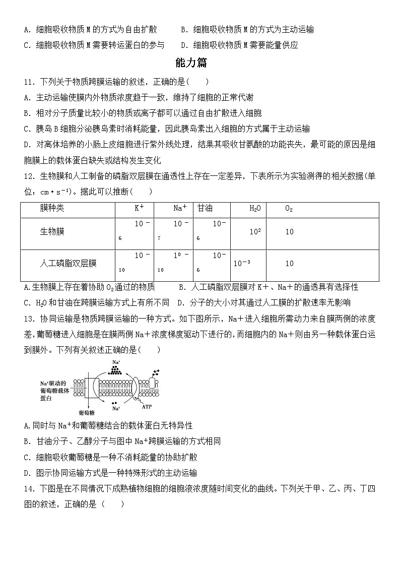 人教版2019必修一高中生物学4《细胞的物质输入和输出》课件+同步分层练习03