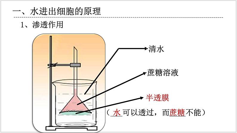 人教版2019必修一高中生物学4《细胞的物质输入和输出》课件+同步分层练习03