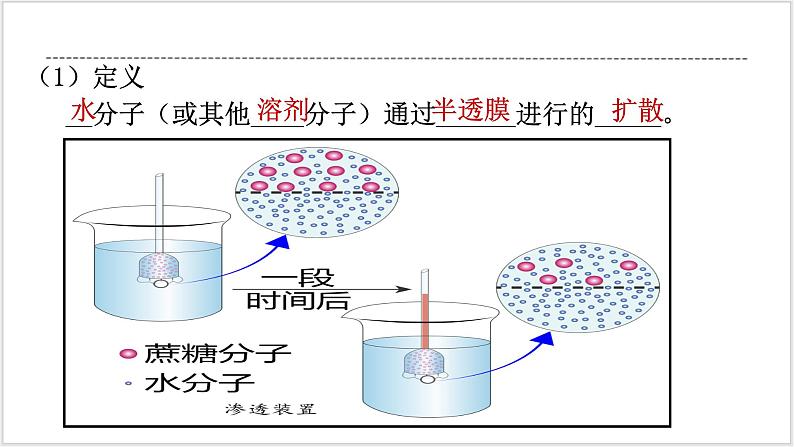 人教版2019必修一高中生物学4《细胞的物质输入和输出》课件+同步分层练习04