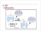 人教版2019必修一高中生物学4《细胞的物质输入和输出》课件+同步分层练习