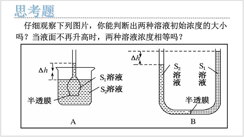 人教版2019必修一高中生物学4《细胞的物质输入和输出》课件+同步分层练习06