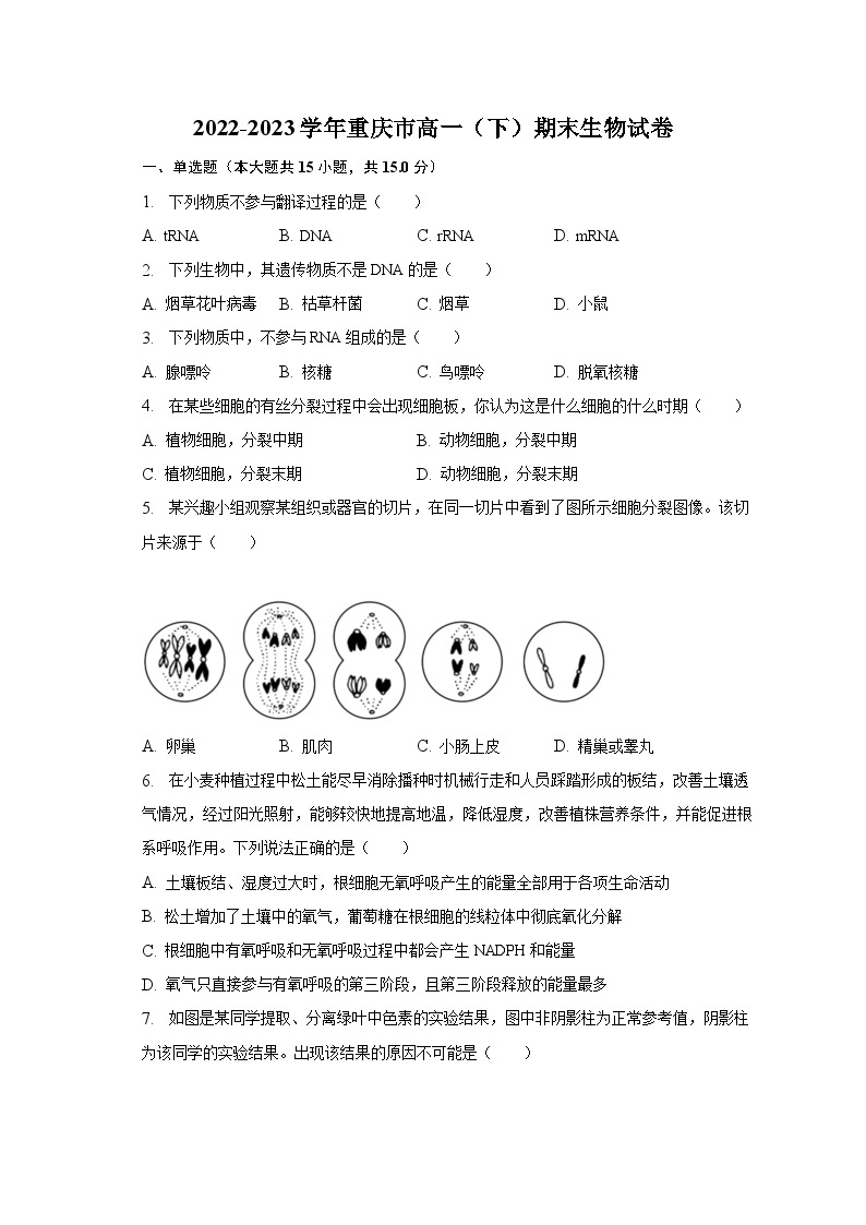 2022-2023学年重庆市高一（下）期末生物试卷（含解析）01
