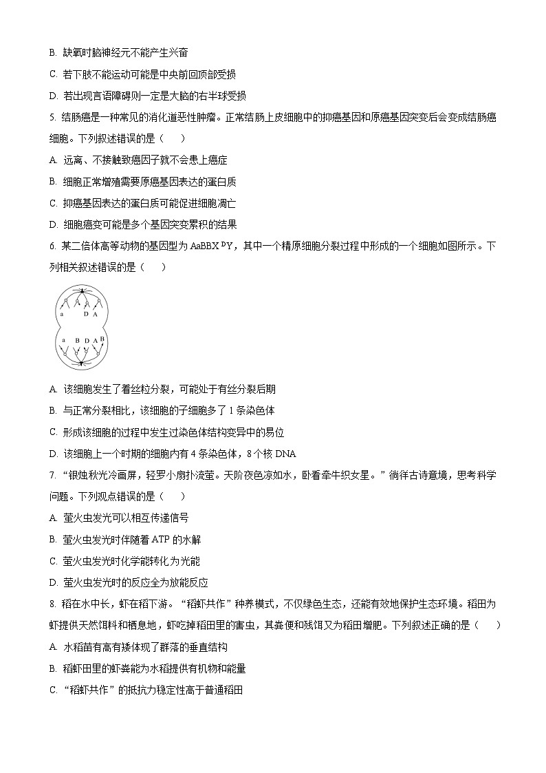 2023湖南省名校联盟高二下学期期末联考生物试题含解析02