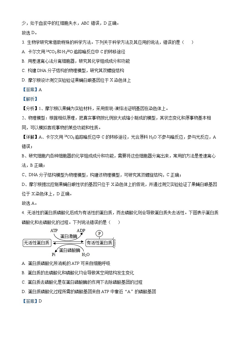 湖南省多校2022-2023学年高二生物下学期期末联考试题（Word版附解析）第2页