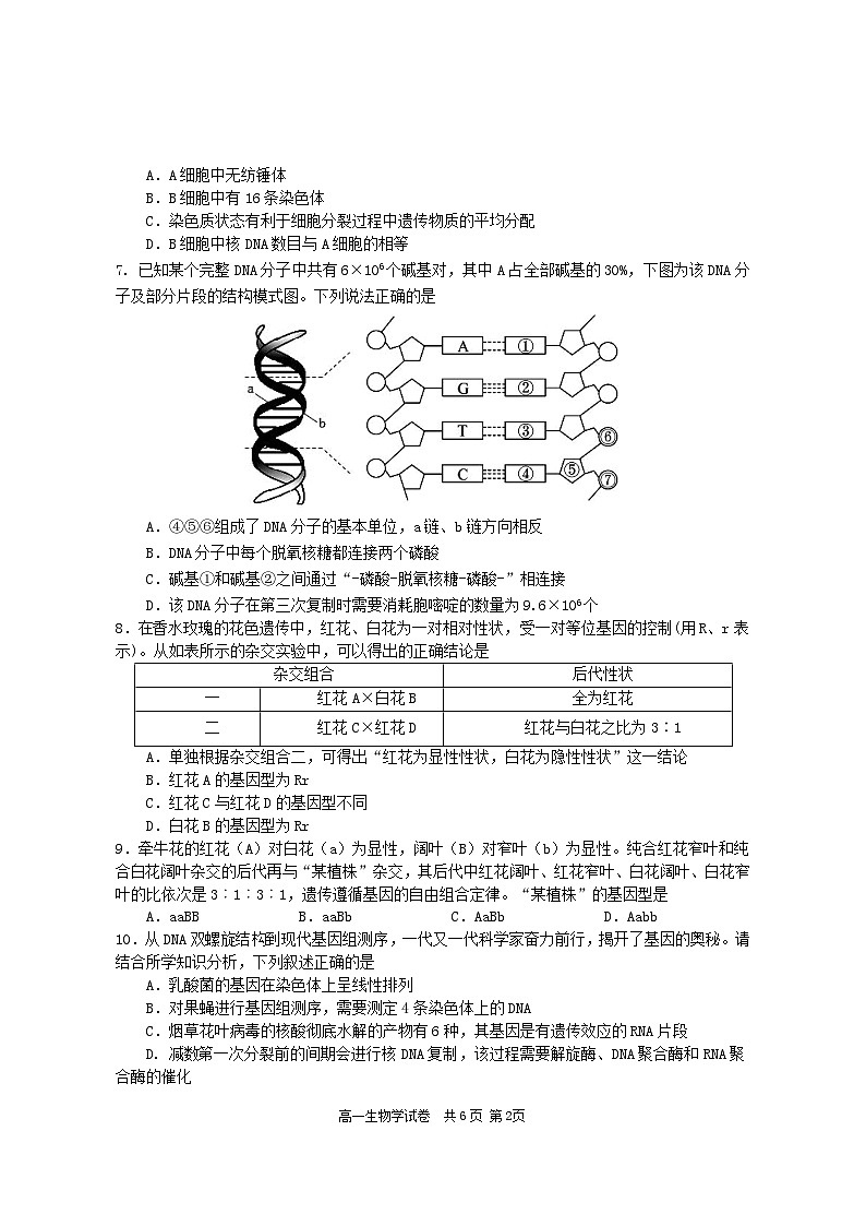 湖南省长沙市宁乡市2022-2023学年高一生物下学期期末试题（Word版附答案）02