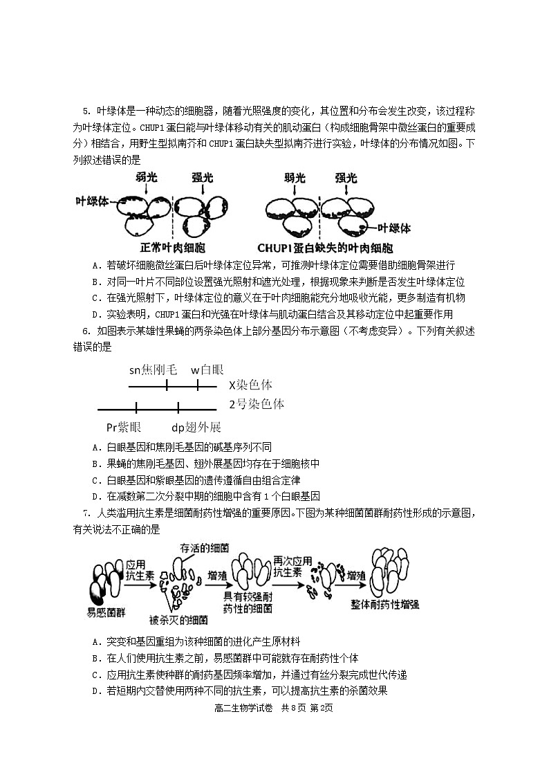 湖南省长沙市宁乡市2022-2023学年高二生物下学期期末试题（Word版附答案）02