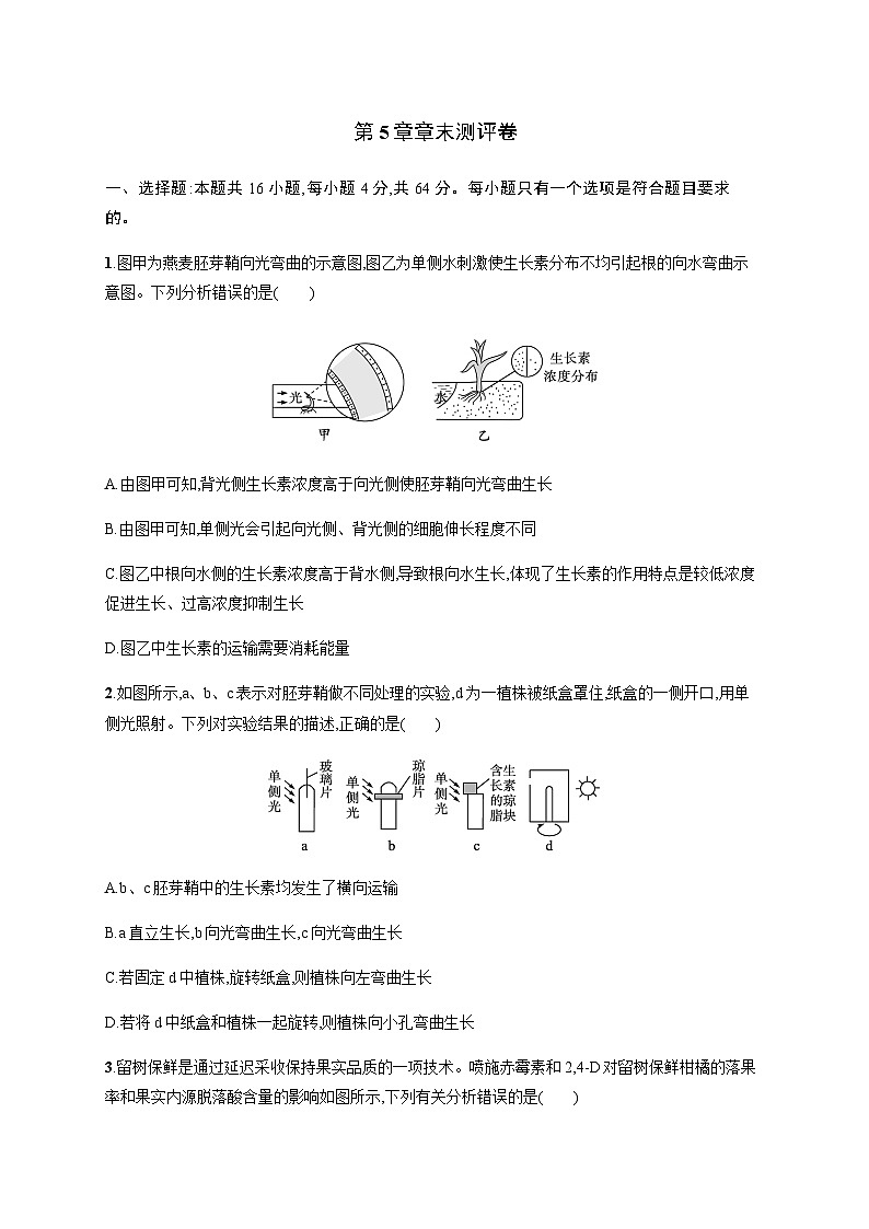 人教C版高中生物选择性必修1稳态与调节第5章植物生命活动的调节章末测评卷含答案第1页