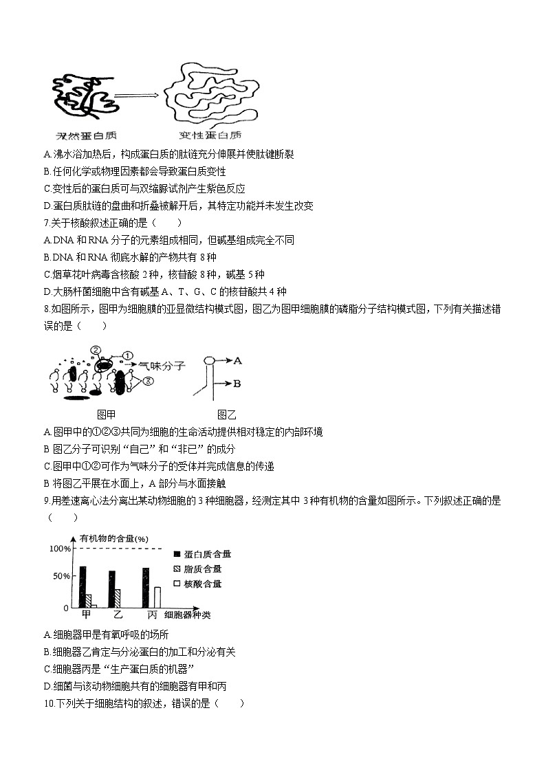 海南省海口中学2022-2023学年高一上学期期末生物试题(无答案)02