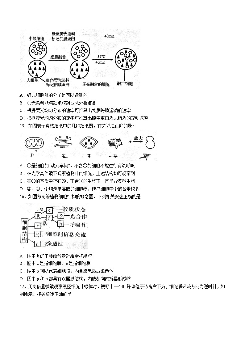 广东省深圳市宝安区宝安中学2022-2023学年高一上学期期中生物试题03