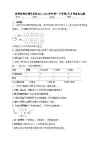 贵州省黔东南州名校2021-2022学年高一下学期6月月考生物试卷（含答案）