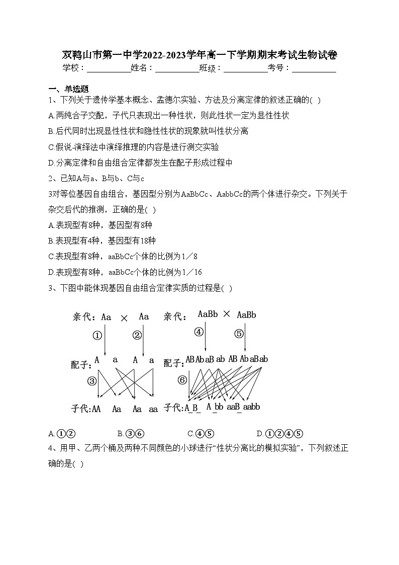 双鸭山市第一中学2022-2023学年高一下学期期末考试生物试卷（含答案）第1页