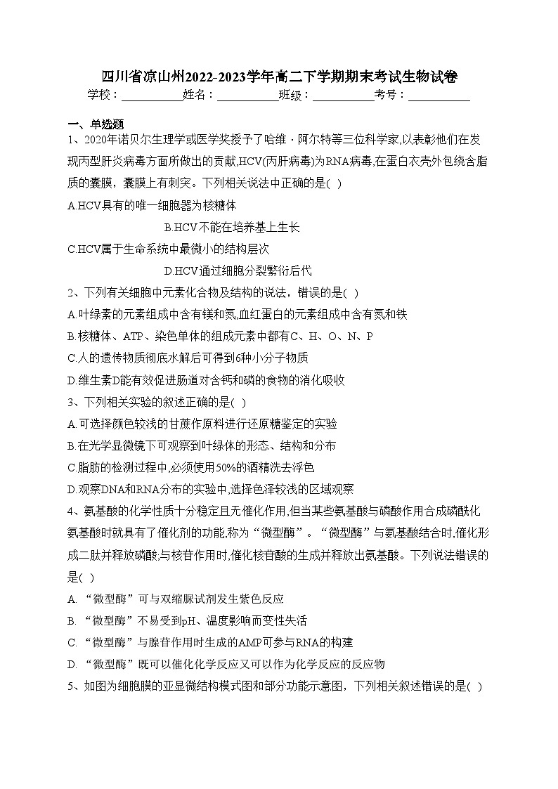 四川省凉山州2022-2023学年高二下学期期末考试生物试卷（含答案）01
