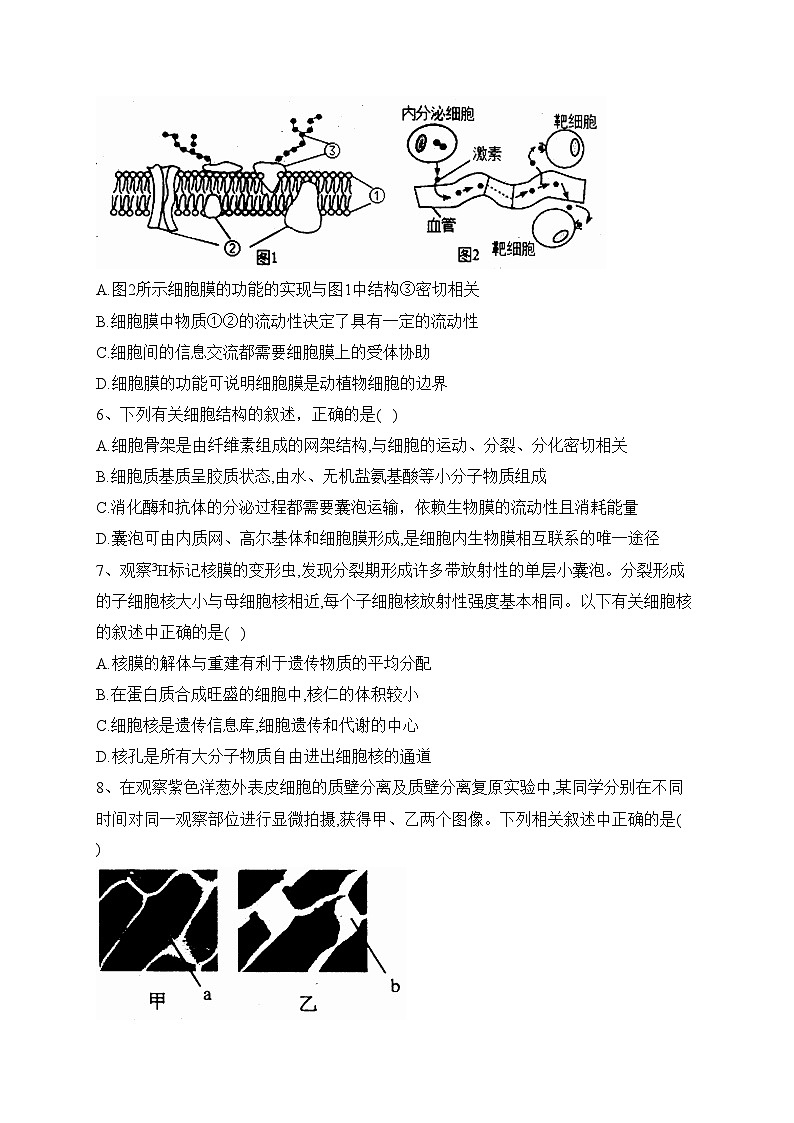 四川省凉山州2022-2023学年高二下学期期末考试生物试卷（含答案）02