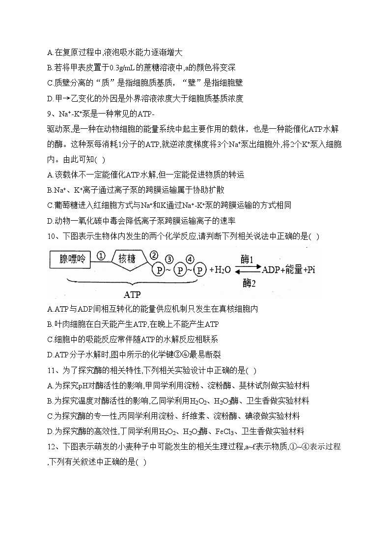 四川省凉山州2022-2023学年高二下学期期末考试生物试卷（含答案）03