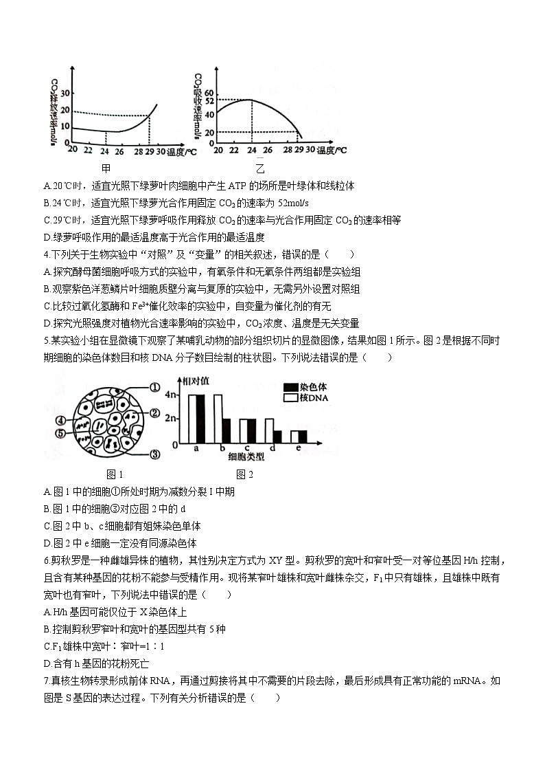 2023郴州高一下学期期末生物试题含答案02