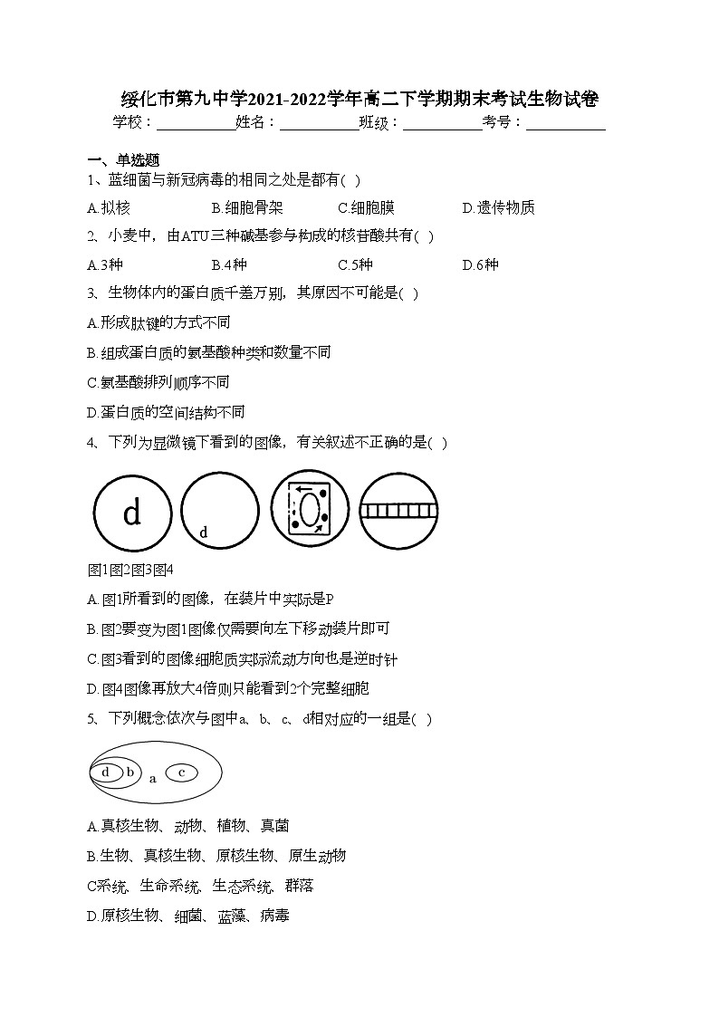 绥化市第九中学2021-2022学年高二下学期期末考试生物试卷（含答案）第1页
