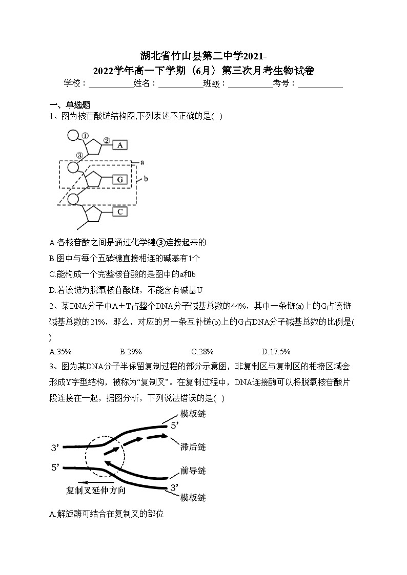 湖北省竹山县第二中学2021-2022学年高一下学期（6月）第三次月考生物试卷（含答案）第1页
