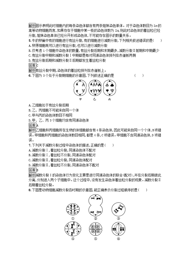 新教材2023年高中生物第2章基因和染色体的关系第1节减数分裂和受精作用第1课时减数分裂课后训练新人教版必修2第2页