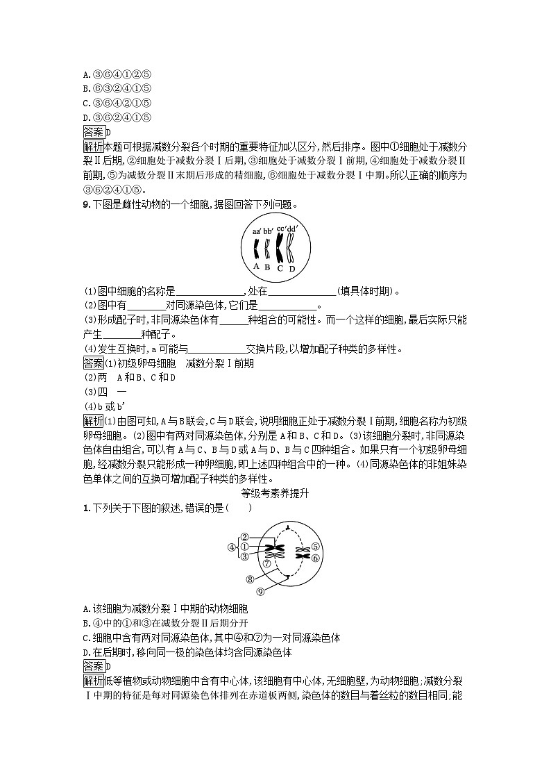 新教材2023年高中生物第2章基因和染色体的关系第1节减数分裂和受精作用第1课时减数分裂课后训练新人教版必修2第3页