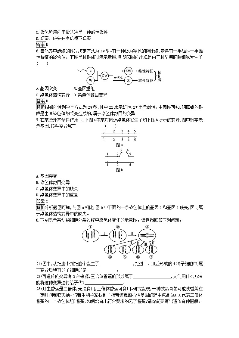 新教材2023年高中生物第5章基因突变及其他变异第2节染色体变异课后训练新人教版必修202