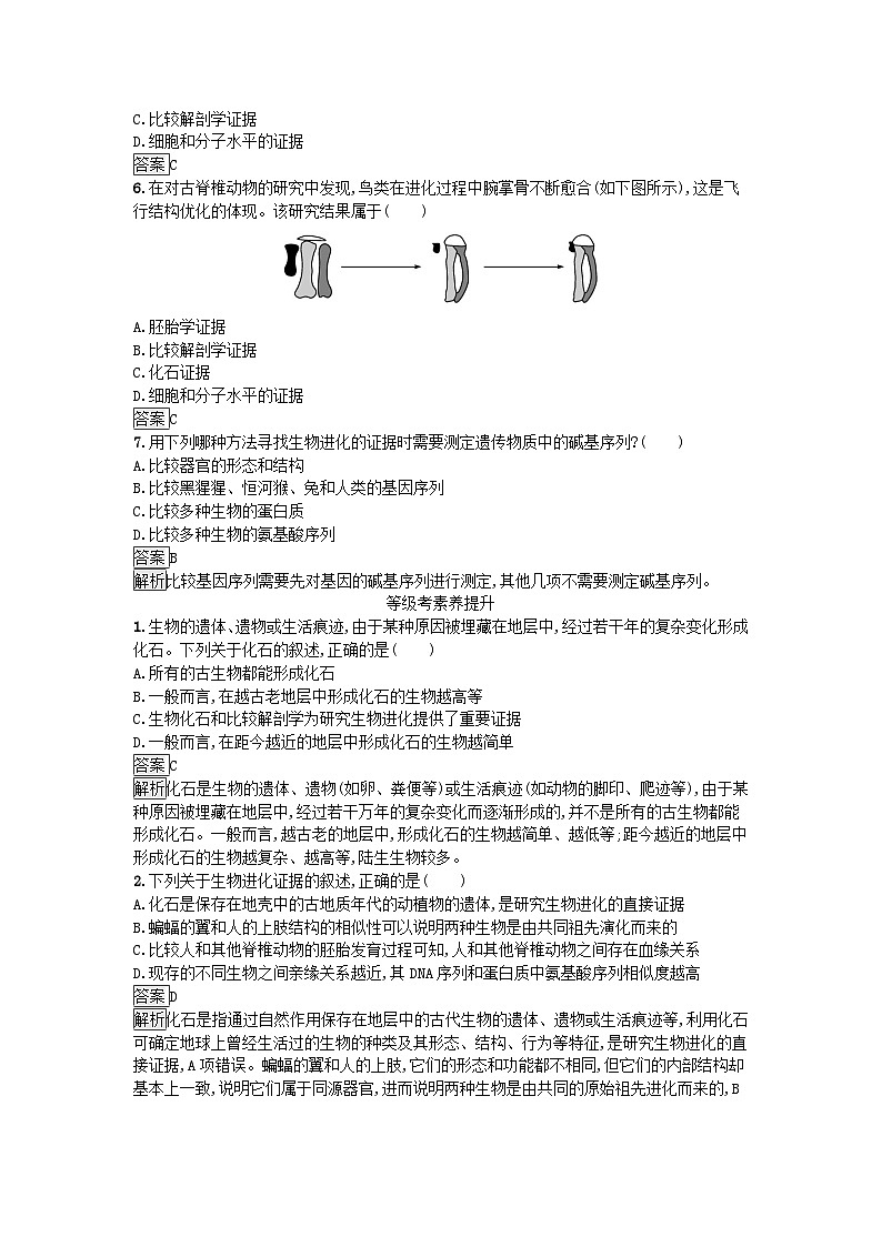 新教材2023年高中生物第6章生物的进化第1节生物有共同祖先的证据课后训练新人教版必修202
