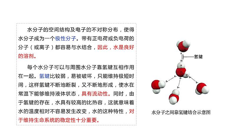 2.2 细胞中的无机物课件PPT第8页