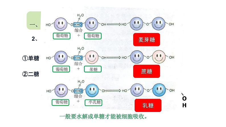 2.3 细胞中的糖类和脂质课件PPT07