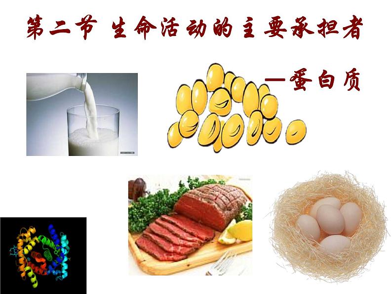 2.4  蛋白质是生命活动的主要承担者课件PPT02