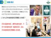 2.5 核酸是遗传信息的携带者课件PPT