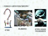 2.5 核酸是遗传信息的携带者课件PPT
