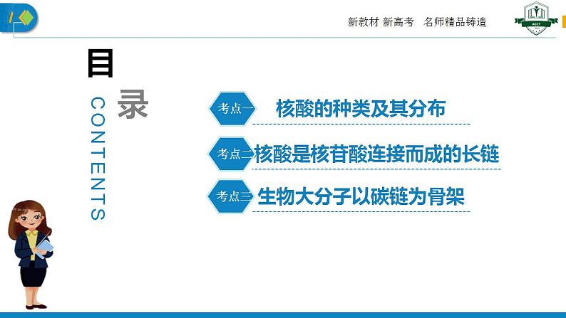 2.5 核酸是遗传信息的携带者课件PPT第5页