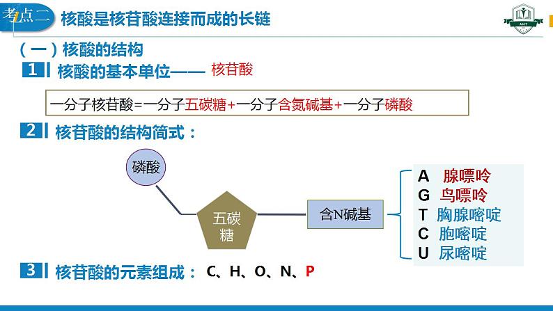 2.5 核酸是遗传信息的携带者课件PPT第8页