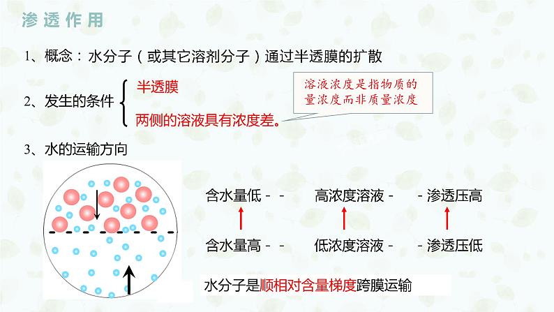 4.1.1 探究植物细胞的吸水和失水实验与被动运输课件PPT07