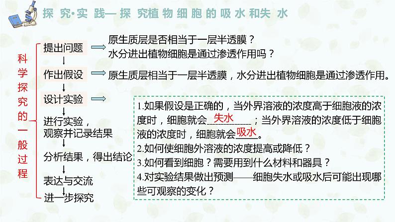 4.1.2 探究植物细胞的吸水和失水实验与被动运输课件PPT02