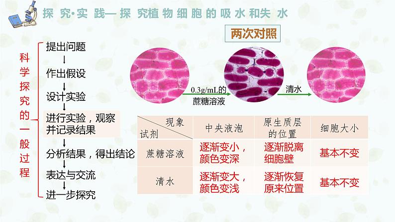 4.1.2 探究植物细胞的吸水和失水实验与被动运输课件PPT05