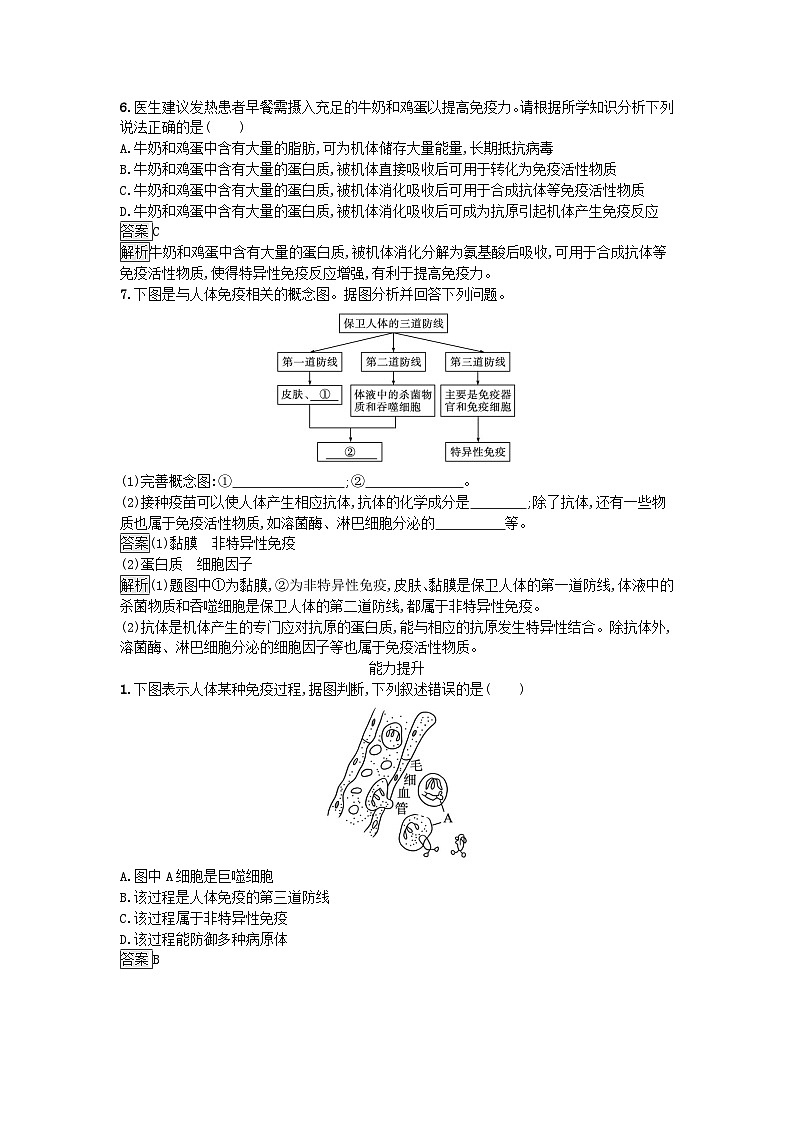 新教材2023年高中生物第4章免疫调节第1节免疫系统的组成和功能课后训练新人教版选择性必修102