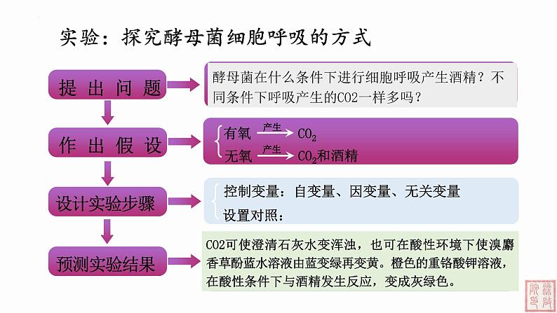 5.3 细胞呼吸的原理和应用（第1课时）课件PPT第7页