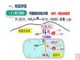 5.3 细胞呼吸的原理和应用（第2课时课件PPT