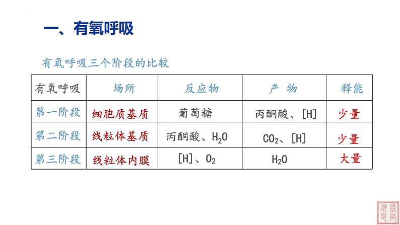 5.3 细胞呼吸的原理和应用（第2课时课件PPT第8页