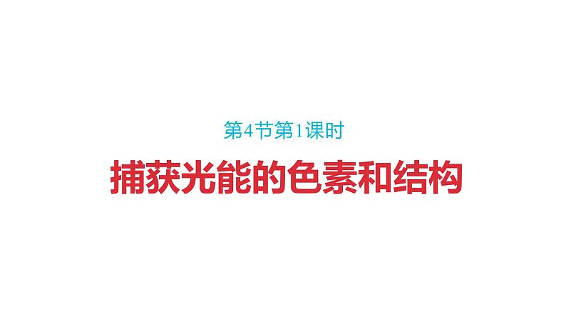 5.4.1 捕获光能的色素和结构课件PPT01