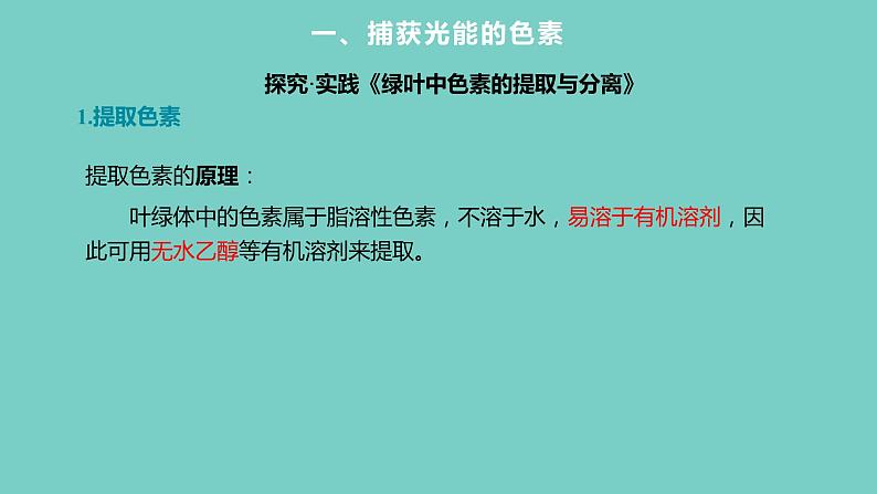 5.4.1 捕获光能的色素和结构课件PPT08