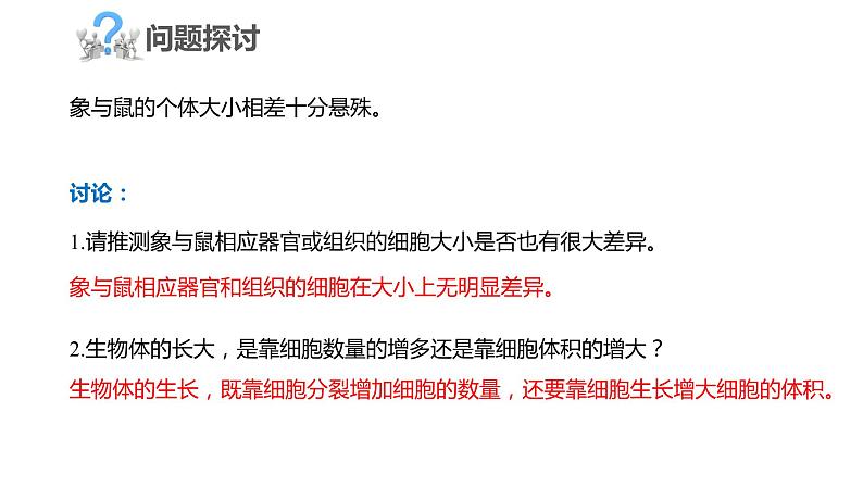 6.1.1 细胞增殖、细胞周期和高等植物细胞的有丝分裂课件PPT03
