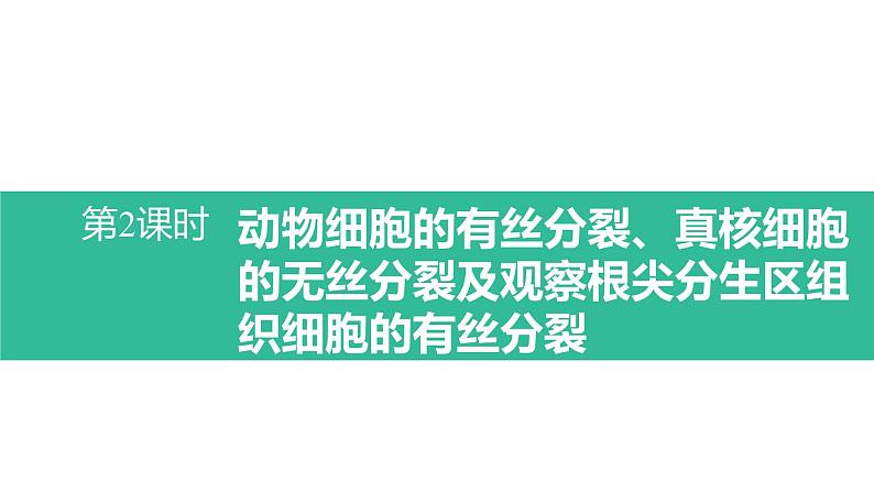 6.1.2 动物细胞的有丝分裂、真核细胞的无丝分裂及观察根尖分生区组织细胞的有丝分裂课件PPT01