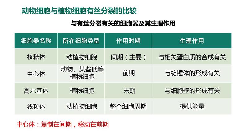 6.1.2 动物细胞的有丝分裂、真核细胞的无丝分裂及观察根尖分生区组织细胞的有丝分裂课件PPT05